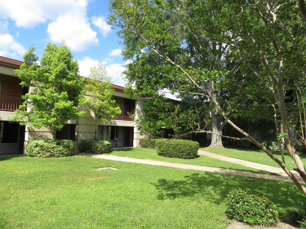 Olive Tree Hotel And Banquet Halls Jackson Exterior foto
